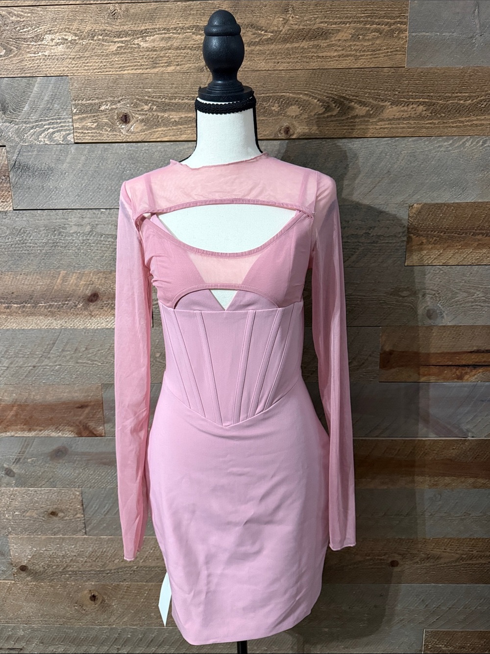 NWT Miss Circle Winston Blush Pink Mesh Corset Mini Dress
